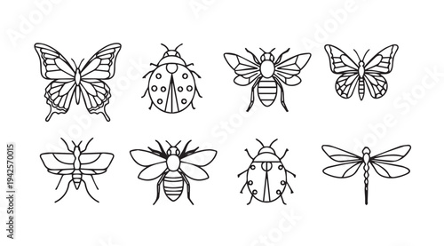 Collection of insect line art icons: butterflies bees ladybugs dragonflies and beetles. Vector illustrations