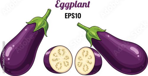Fresh Eggplant Illustration, Whole and Sliced Vegetable Design"