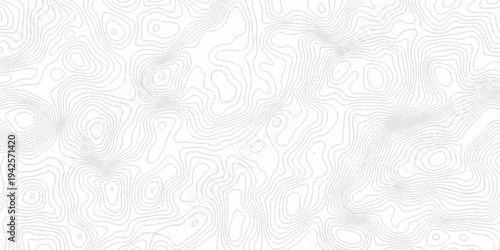 Abstract minimal vector topo map creative discovery. White wave grid stripe line map topography. vector geographic contour mounted map background.