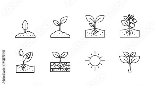 Plant Growth Stages Icons: Seedling to Tree Watering Sun Soil Layers