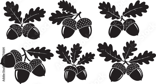 Black and white acorn illustrations with oak leaves