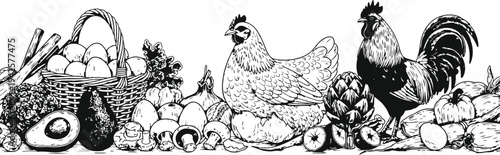 Farm Fresh Produce and Poultry BorderVector Illustration