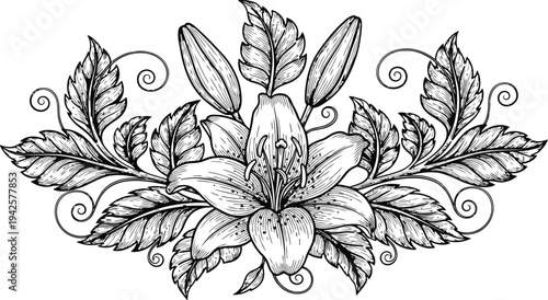 Lily Flower Decoration Vector with Leaves and Swirls