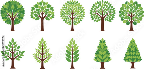 Collection of decorative green leafy trees isolated on white background botanical nature vector illustration set