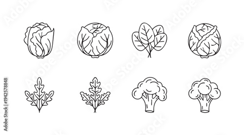 Various vegetables in line art style: cabbage lettuce spinach broccoli arugula