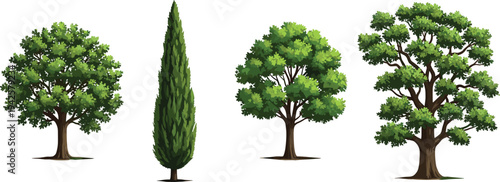 Collection of realistic green forest trees isolated on white background botanical nature vector illustration set