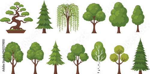 Collection of various cartoon trees isolated on white background forest nature plant vector illustration set