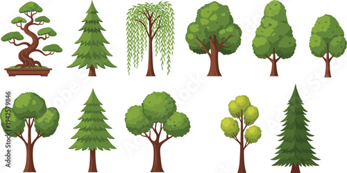 Collection of various cartoon forest trees isolated on white background nature plant vector illustration set