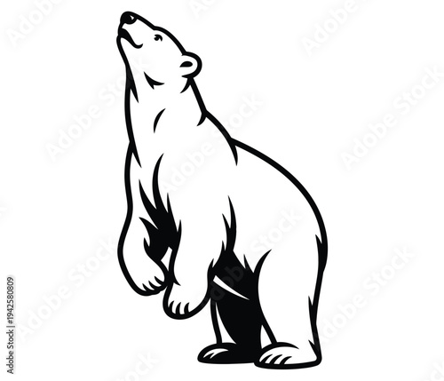A black and white illustration of a polar bear standing on its hind legs and looking upwards.