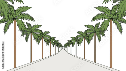 Illustration of a road lined with palm trees on both sides leading into the distance against a white background.