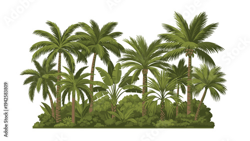 Illustration of a tropical landscape with a cluster of palm trees and lush greenery against a white background.