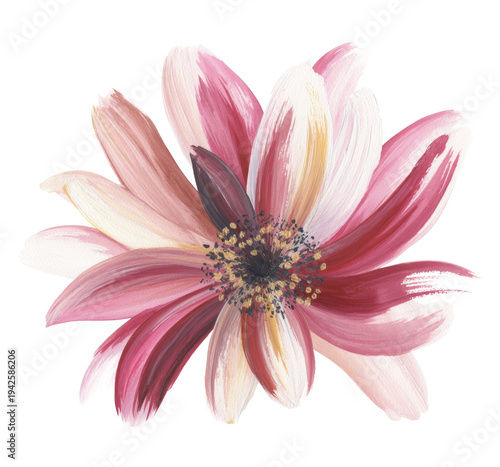 Pink flower watercolor botanical bloom artistic illustration on white background