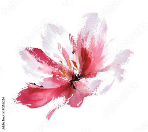Abstract flower, Pink flower watercolor painting floral art on white background