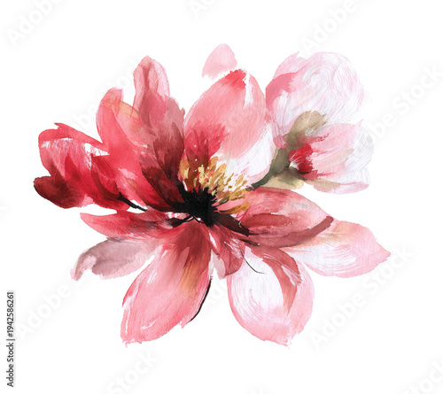 Vibrant Watercolor Flower Painting: Pink, Red, Floral Blossom Art on White