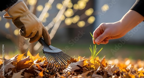 Hands raking leaves on a sunny autumn day with a focus on gardening work