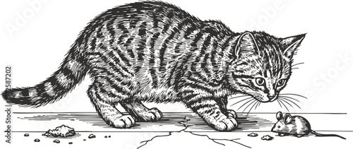 curious cat stalking a small mouse cautiously by scattered crumbs, detailed black and white line art