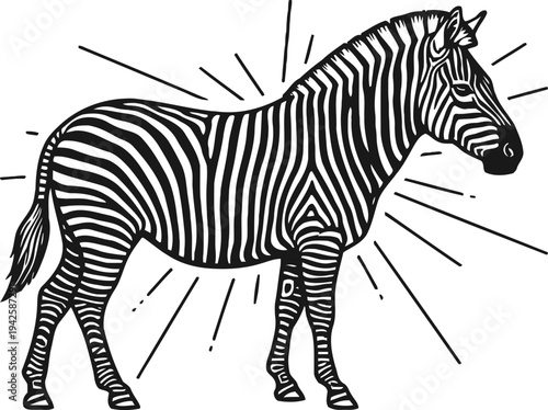 Black and white zebra illustration with sunburst lines striped wild african animal standing side view design