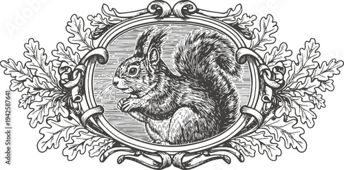 Detailed vintage engraving of squirrel inside oval frame with ornamental oak leaf border