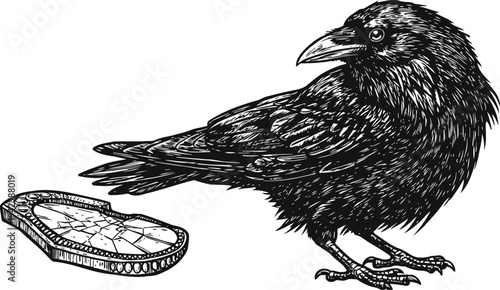 Raven standing next to a broken mirror shard, detailed black and white illustration