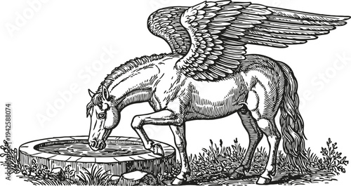 Detailed black and white illustration of a winged horse drinking water from a stone basin, fantasy mythical creature art