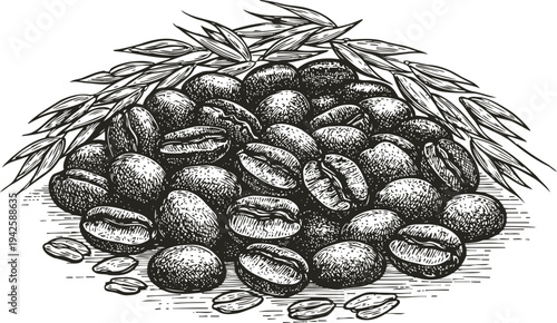 Coffee beans illustration with coffee plant leaves hand drawn detailed black and white drawing of roasted coffee seeds