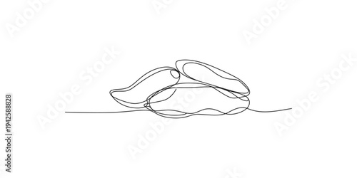 Continuous line drawing of three oysters on a surface oyster seafood shell shells ocean sea