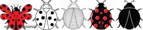 a collection of six different ladybug illustrations showcasing varying styles from fully colored to grayscale and outlined designs high quality professional