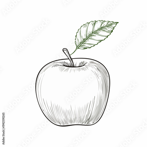Red apple fruit with green leaf healthy fresh food vector illustration