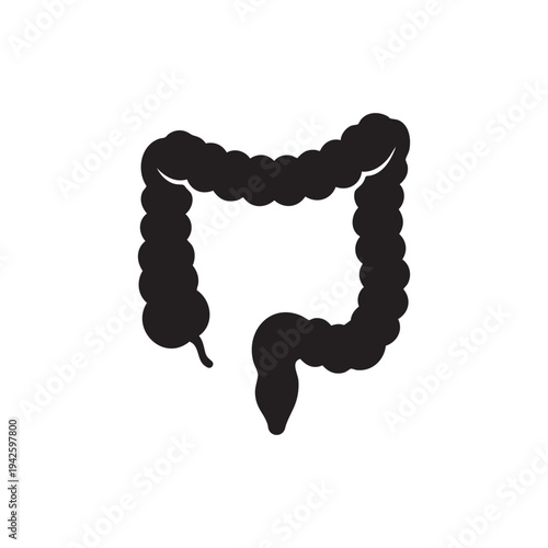 Digestive System Anatomy Simple Black Silhouette Icon Medical Health Care Concept Symbol Represents Intestines Colon Large Small Anatomy Science Health Diagram Graphic Biological Organ Representation