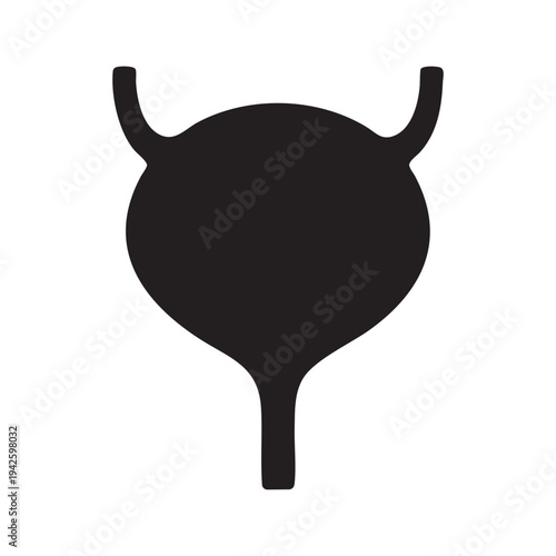 Human Urinary Bladder Anatomy Silhouette Medical Healthcare Organ Diagram Internal Body System Urology Health Science Vector Illustration Simple Black and White Graphic