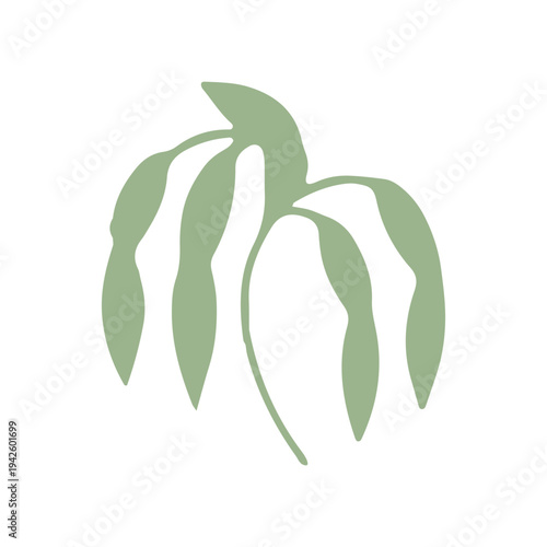 Minimalist Willow Branch Icon
