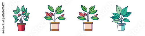 Set of colorful office plants in pots vector illustration, flat design