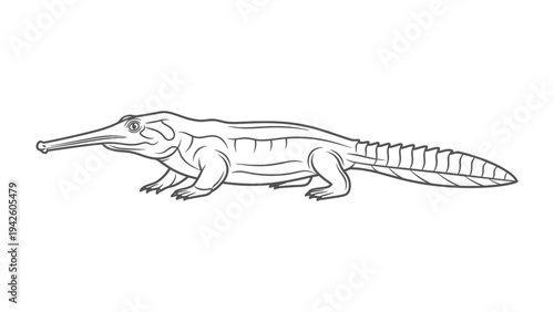 Semiaquatic Reptile Illustration: A detailed black and white illustration of a slender, semiaquatic reptile showcases intricate line work.