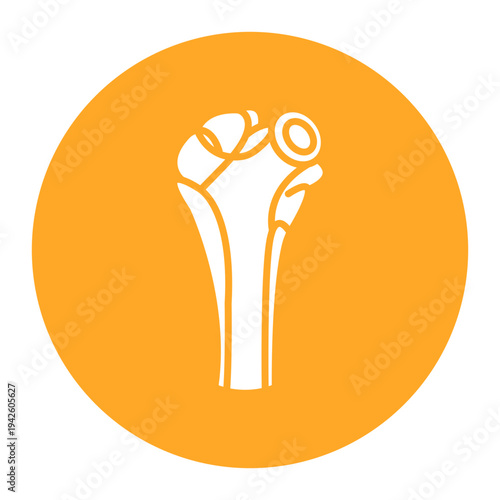 Humerus Icon