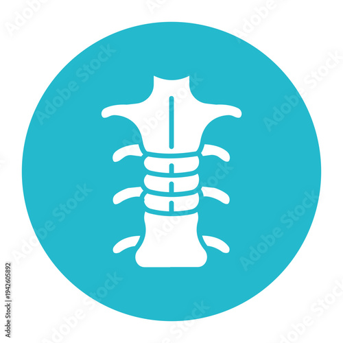 Spinal Cord Icon