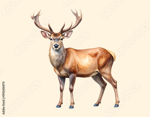 Watercolor vector of deer, isolated on a white background