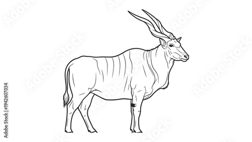 Elegant Eland: A detailed sketch captures the graceful form of an eland, showcasing its distinctive features against a stark backdrop. 