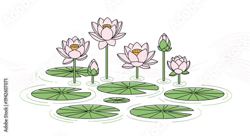 Serene illustration of pink lotus flowers blooming on a pond with large green lily pads and gentle water ripples in a peaceful natural scene.