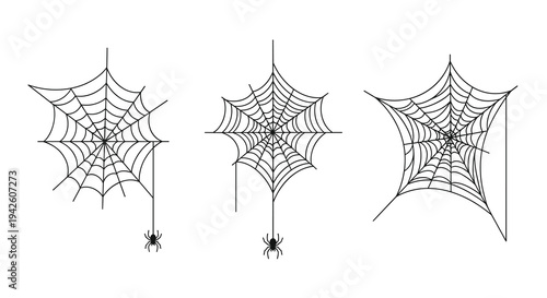 Collection of three different spider web designs with black spiders hanging from silk threads on a clean white background illustration.