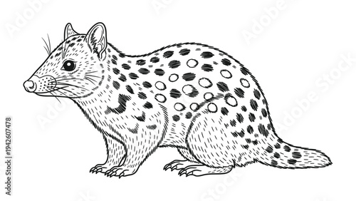 Civet Sketch: A detailed sketch captures the unique form of a civet, highlighting its spotted coat and distinctive features.