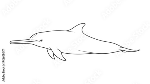 Dolphin Illustration: A simple black and white sketch of a dolphin swimming elegantly, capturing the streamlined form and grace of this marine mammal.