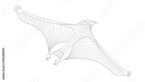 Pterosaur Illustration: A detailed line drawing of a prehistoric flying reptile, showcasing its unique wing structure and skeletal details, perfect for educational or artistic use.