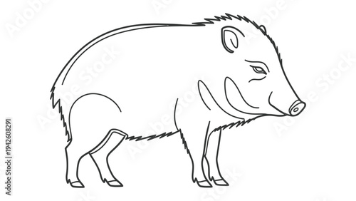 Collared Peccary Outline: A meticulously drawn outline of a collared peccary, showcasing its distinctive features against a blank background, perfect for educational purposes or design elements.