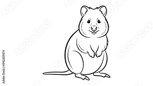 Friendly Quokka Outline: A charming Quokka, the happiest animal on Earth, drawn with simplicity, perfect for coloring or minimalist art.