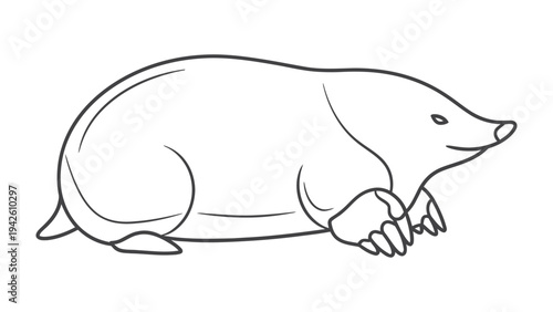 Mole Illustration: An outlined illustration of a mole, presenting its unique features and form.