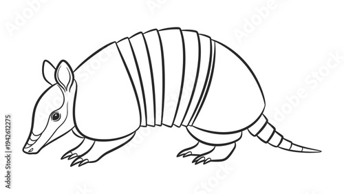 Armadillo Sketch: A detailed, minimalist line drawing of an armadillo showcases its unique armored shell and distinct features.