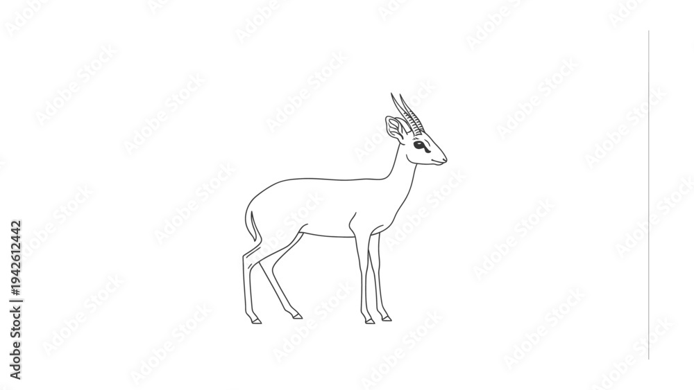 Fototapeta premium Gazelle Sketch: A delicate line drawing of a gazelle, poised and elegant, captured in simple yet striking detail.