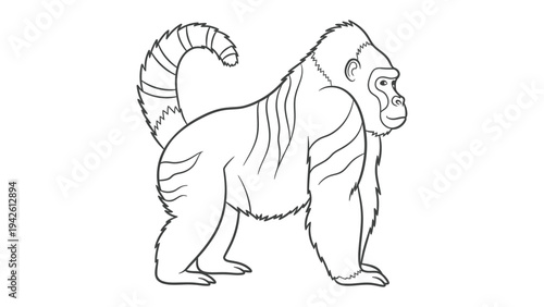 Gorilla Illustration: A detailed black and white illustration of a gorilla, showcasing its powerful physique and distinctive features.