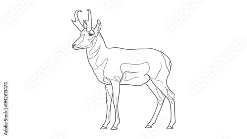Pronghorn Antelope Sketch: A detailed outline drawing of a majestic pronghorn antelope, captured in a minimalist style, emphasizing its elegant form and distinctive horns.