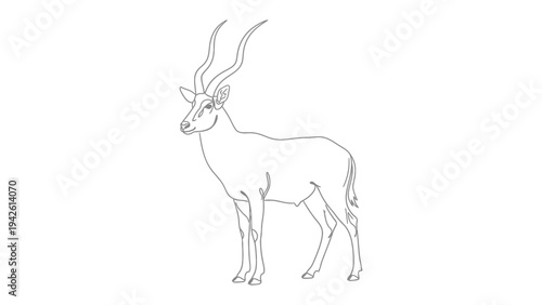 Elegant Antelope Outline: A graceful outline of an antelope, characterized by its slender build and impressive horns, stands poised, exuding an air of quiet dignity and resilience.